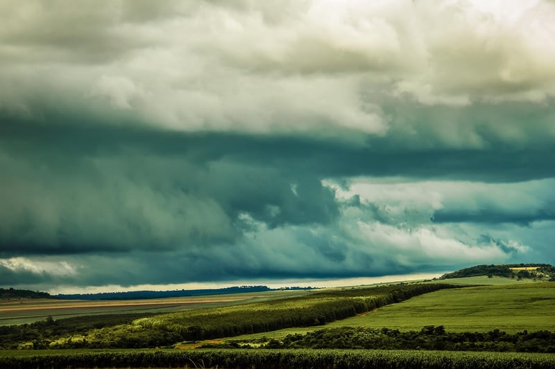 Temporal Consequences Avoidance